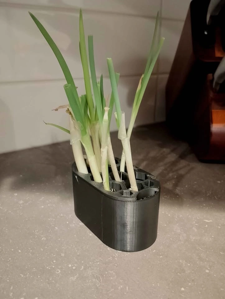 Indoor pot for green onions - photo 4