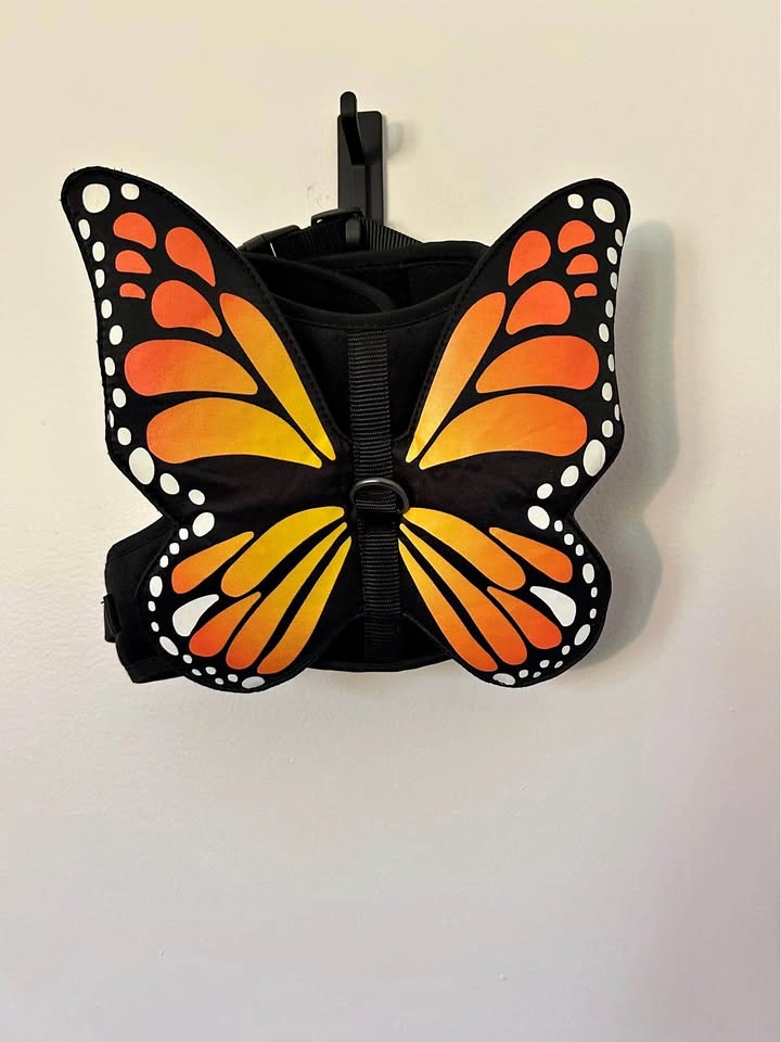 Butterfly Dog Costume Dog - Size S harness
