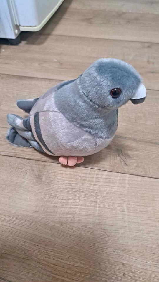 Pigeon plush