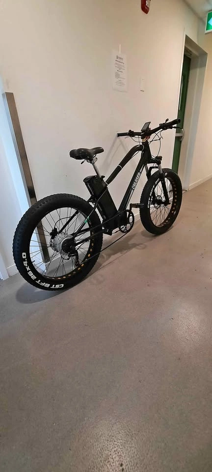 Cruiser Electric Fat Tire Bike