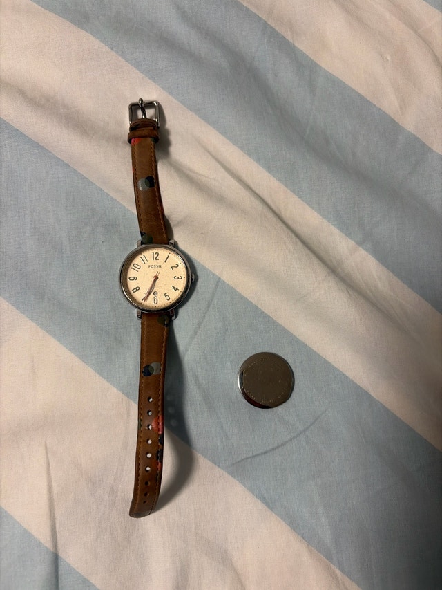 Fossil Watch
