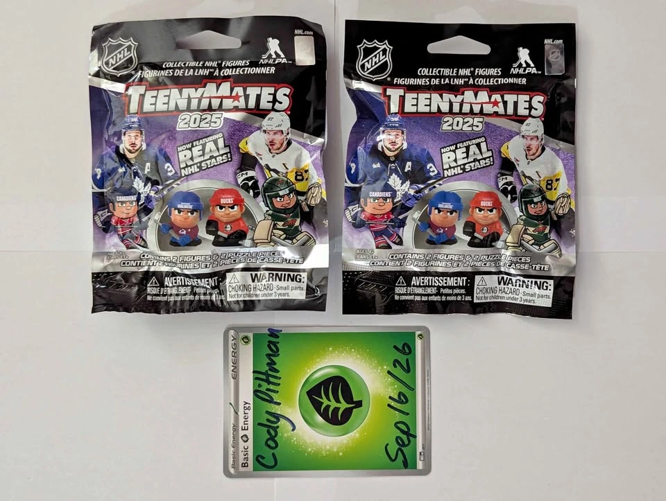 NEW NHL Teeny Mates 2025