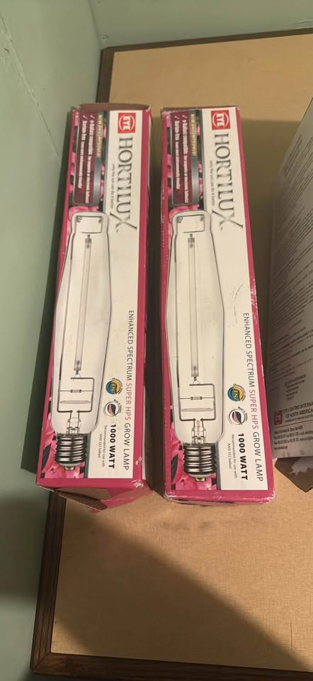 Assorted High Wattage Lightbulbs - photo 2