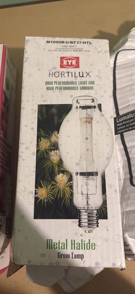 Assorted High Wattage Lightbulbs - photo 3