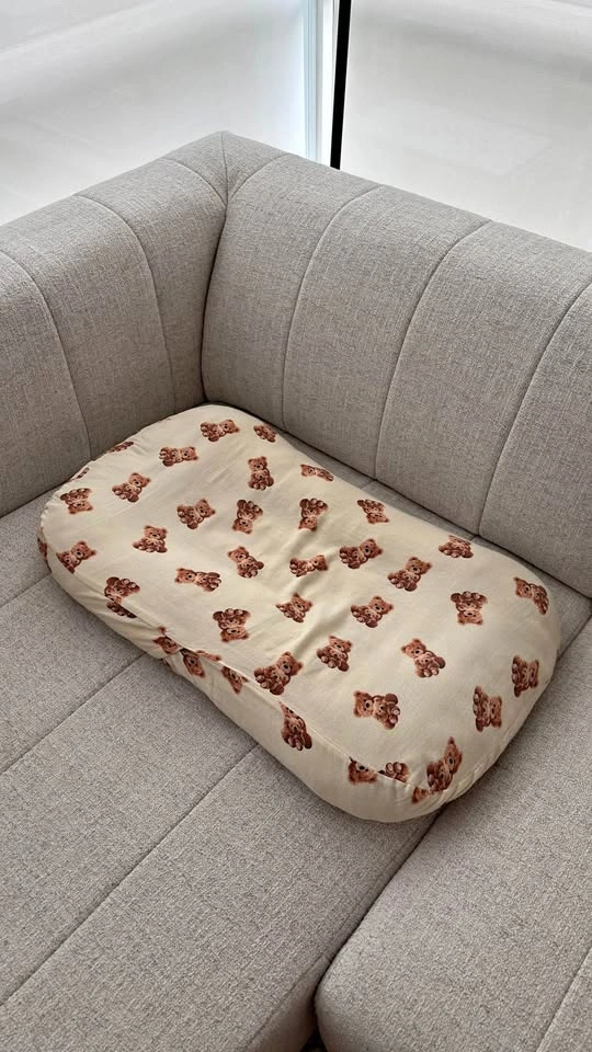 Baby Lounger Pillow + Cover