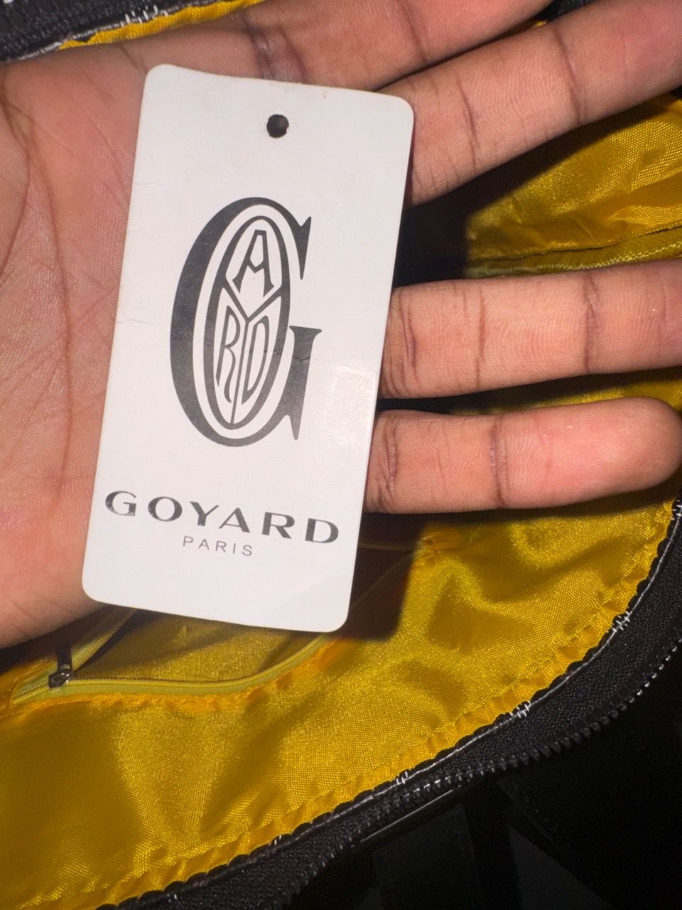 Goyard Black Cisalpin Backpack - photo 3