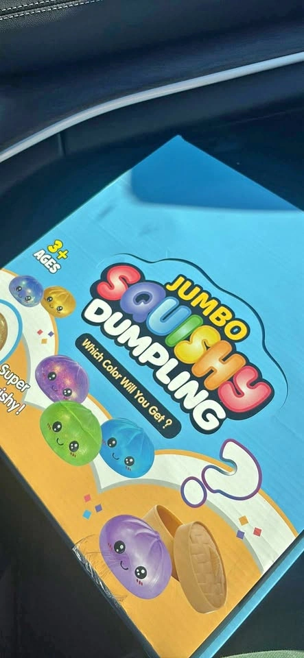 Jumbo squishy dumplings