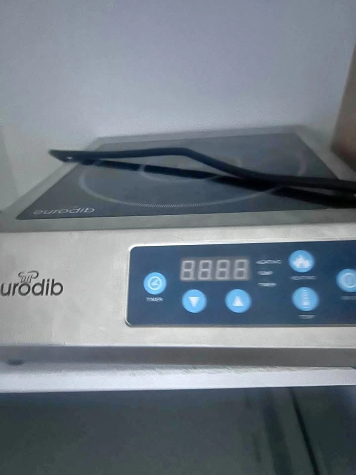 Eurodib induction cooker