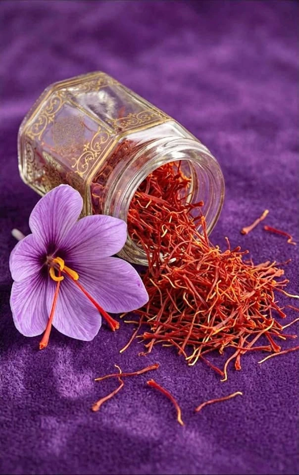 Natural Algerian Saffron