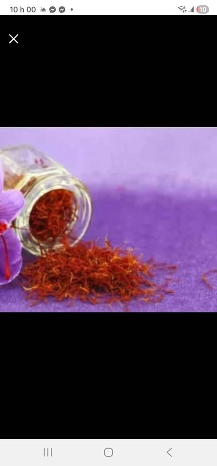 Natural Algerian Saffron - photo 2