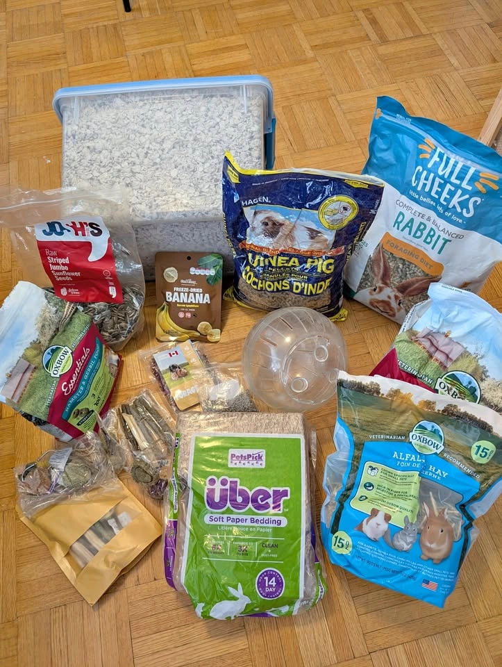 Hamster, rat, gerbil etc food and treats