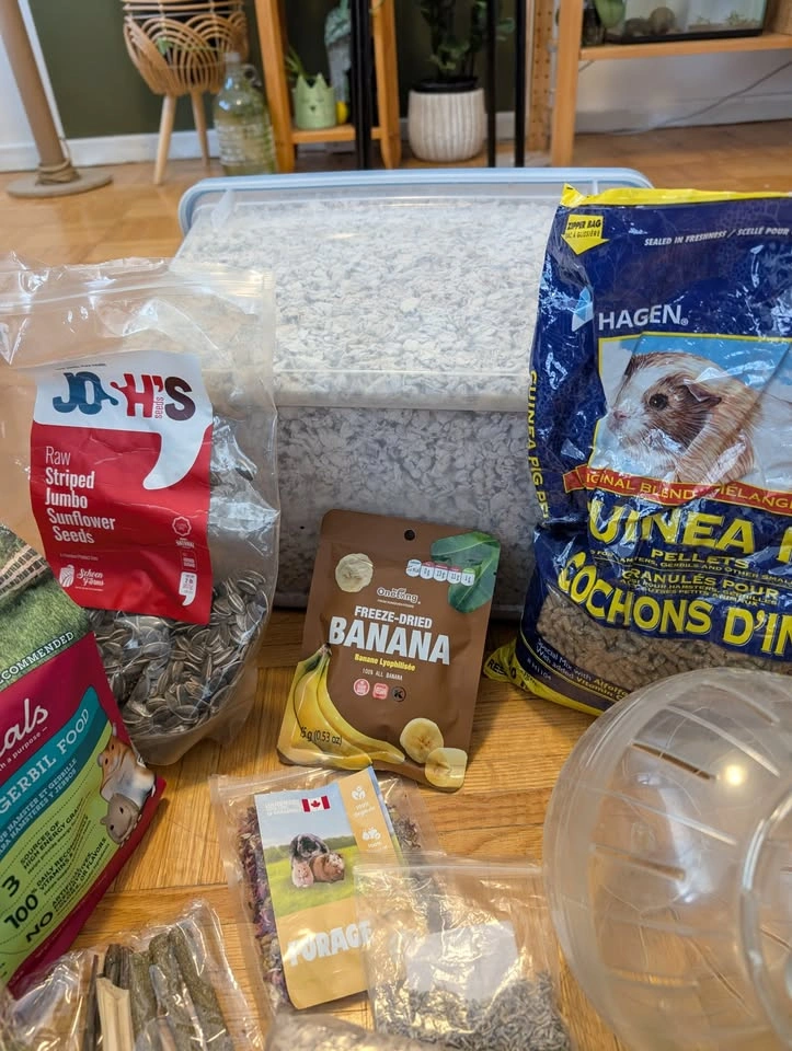 Hamster, rat, gerbil etc food and treats - photo 3