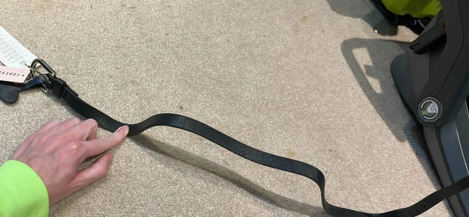 Forever 21 Black Belt - photo 2