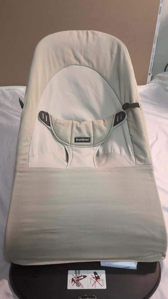 Baby Bjorn Bouncer