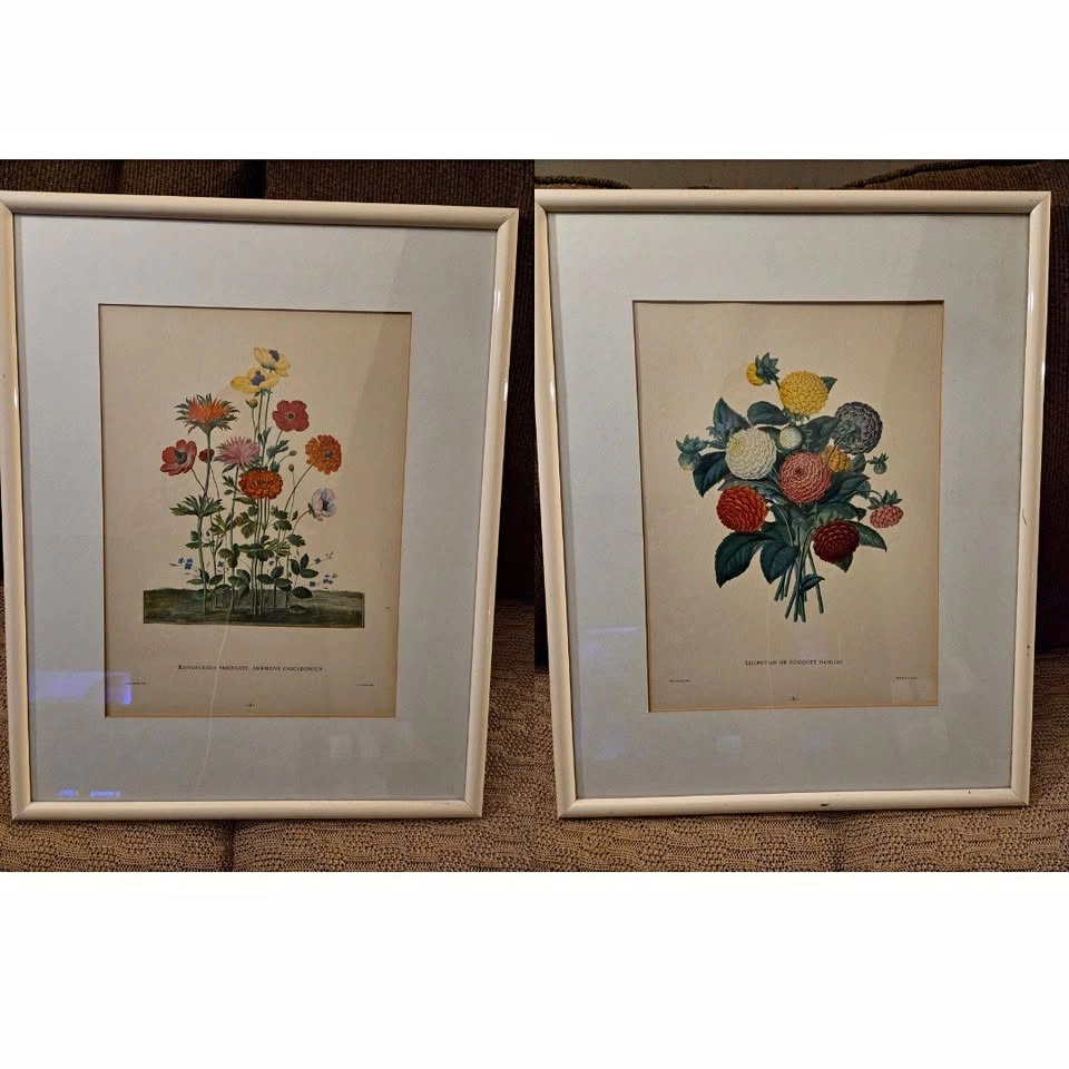 Pair of Framed Vintage Floral Botanical Prints - Ready to Hang