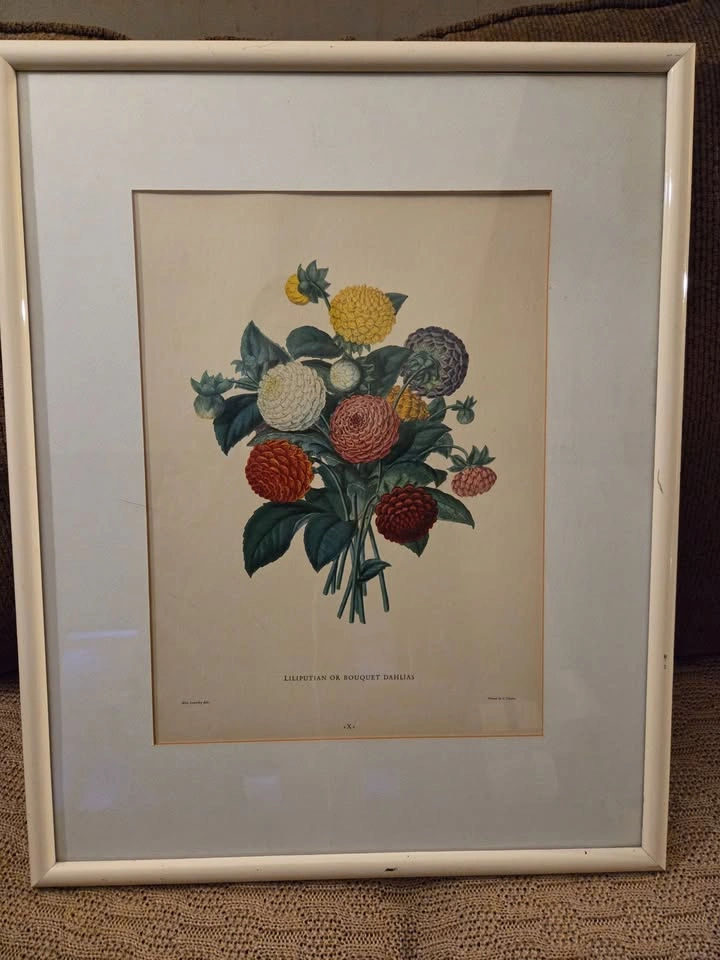Pair of Framed Vintage Floral Botanical Prints - Ready to Hang - photo 2