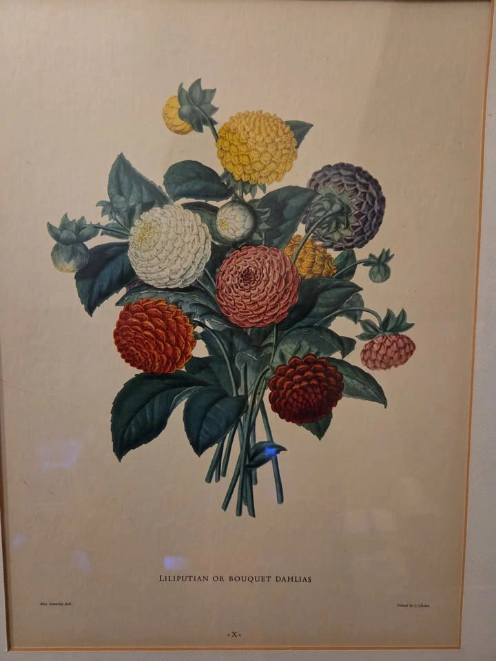 Pair of Framed Vintage Floral Botanical Prints - Ready to Hang - photo 3