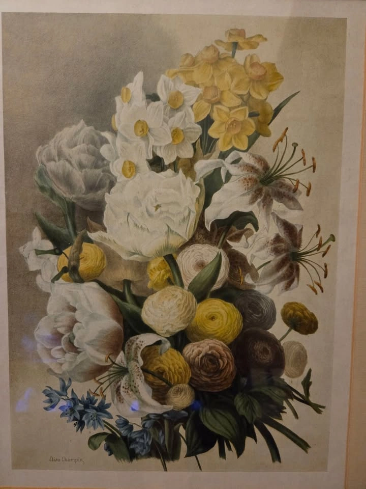 Vintage Framed Elisa Champin “Spring Flowers” Botanical Print - photo 3