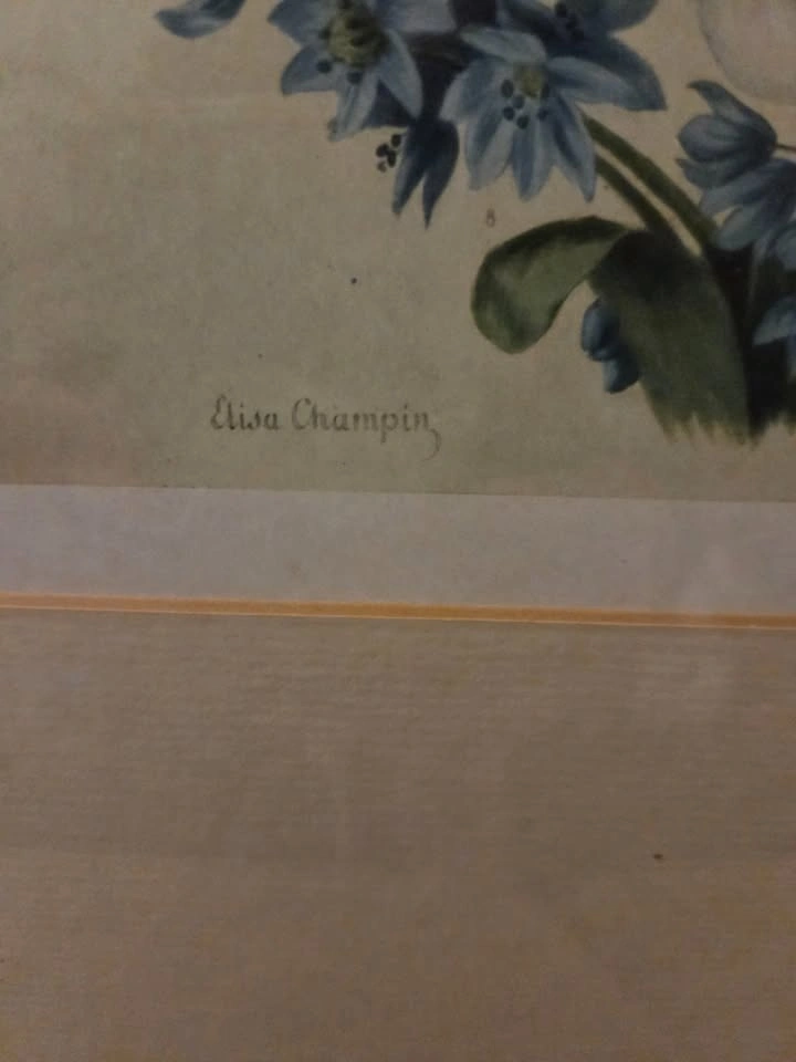 Vintage Framed Elisa Champin “Spring Flowers” Botanical Print - photo 4