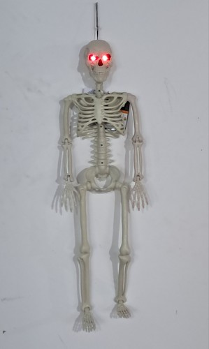 3ft Tall Light and Creepy Sounds Posable Halloween Skeleton
