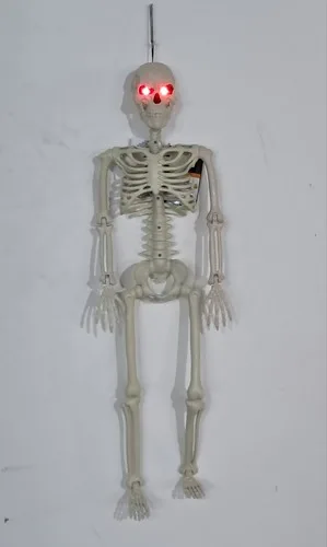 3ft Tall Light and Creepy Sounds Posable Halloween Skeleton