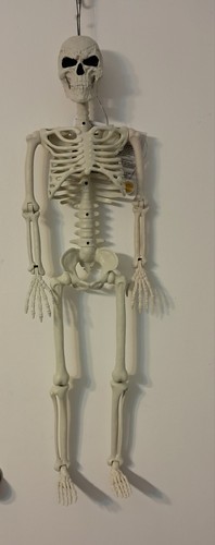 3ft Tall Light and Creepy Sounds Posable Halloween Skeleton - photo 2