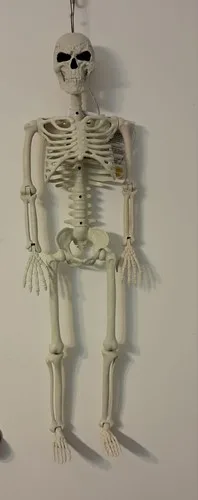 3ft Tall Light and Creepy Sounds Posable Halloween Skeleton - photo 2