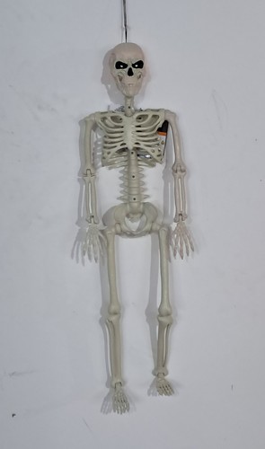 3ft Tall Light and Creepy Sounds Posable Halloween Skeleton - photo 4