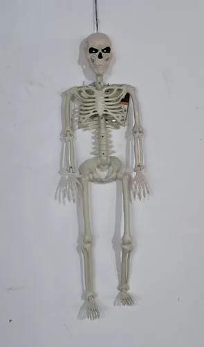 3ft Tall Light and Creepy Sounds Posable Halloween Skeleton - photo 4