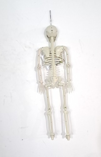 3ft Tall Light and Creepy Sounds Posable Halloween Skeleton - photo 5
