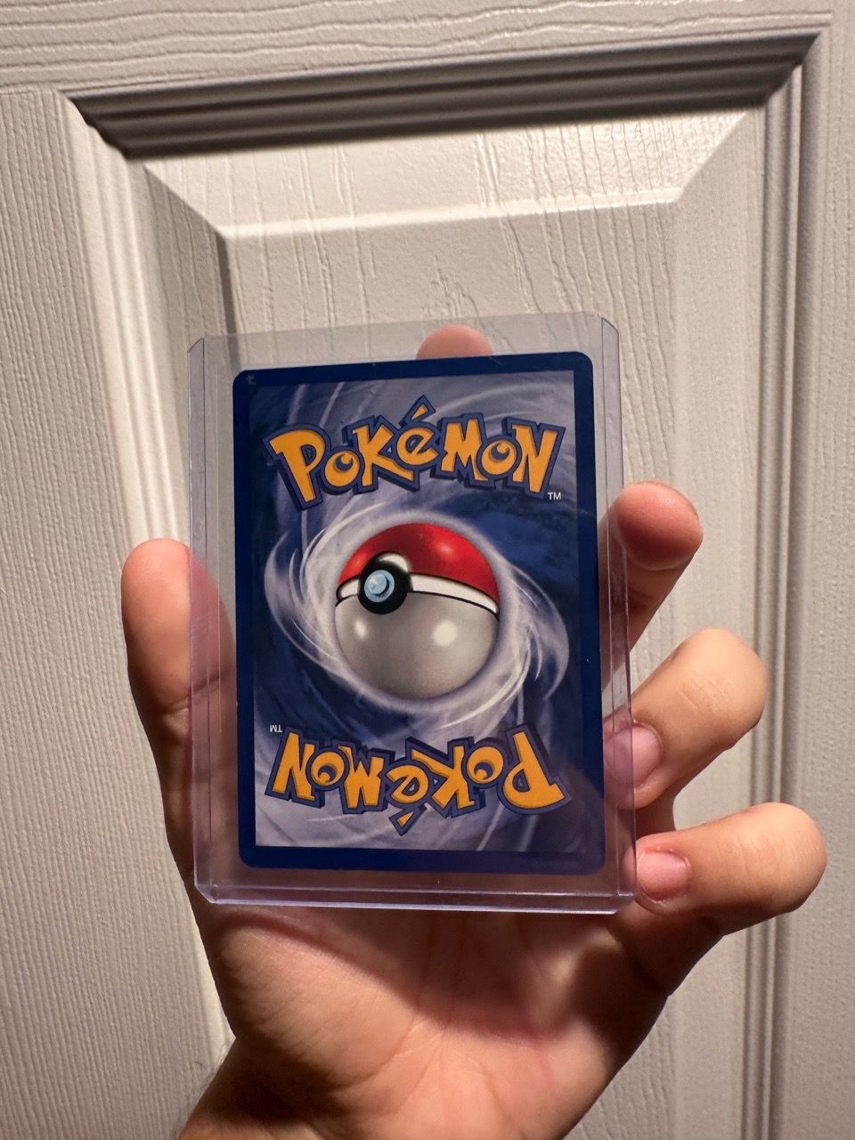 Zapdos - photo 2