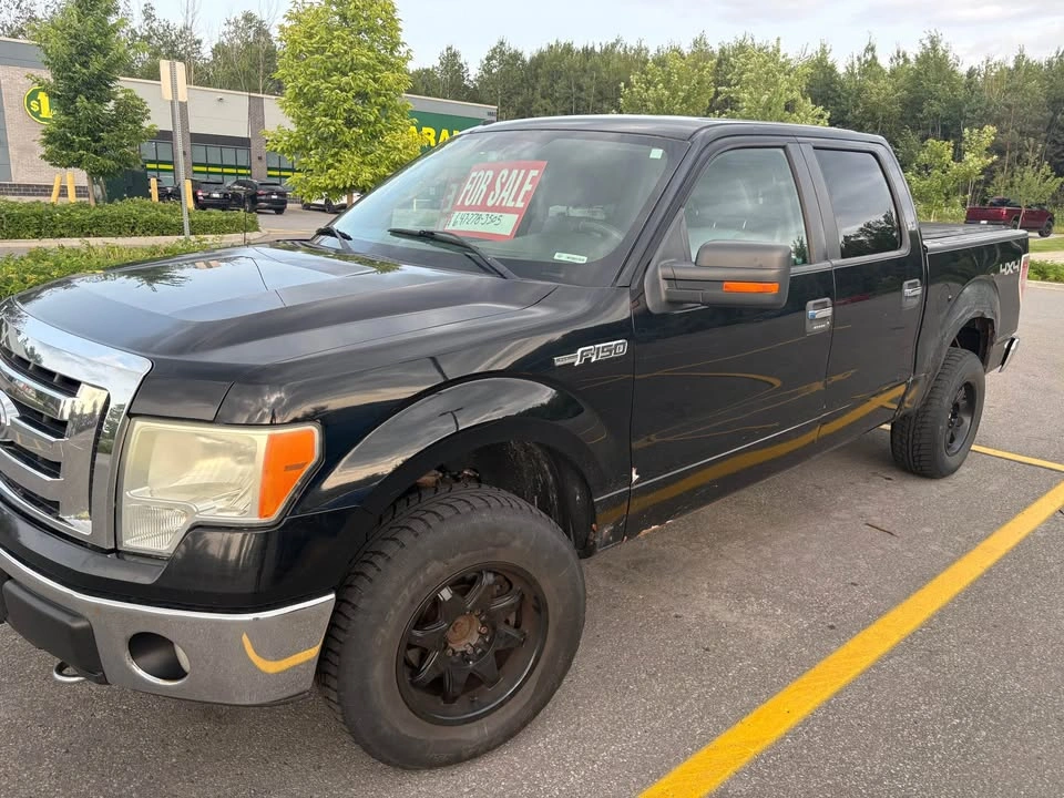 2009 Ford F-150 - photo 2