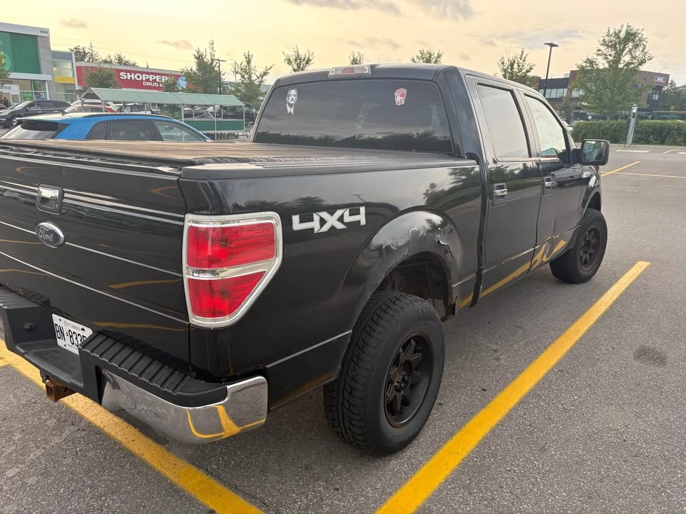 2009 Ford F-150 - photo 5