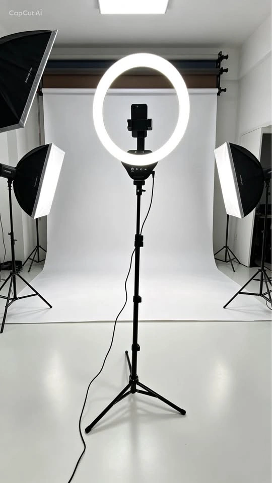 UBeesize 12-inch ring light with tripod and 62-inch stand