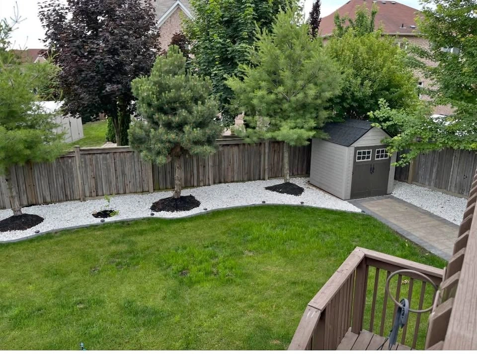 Legal Walkout Basement: 1bed, 1bath, Storage, Laundry, 2 Parking