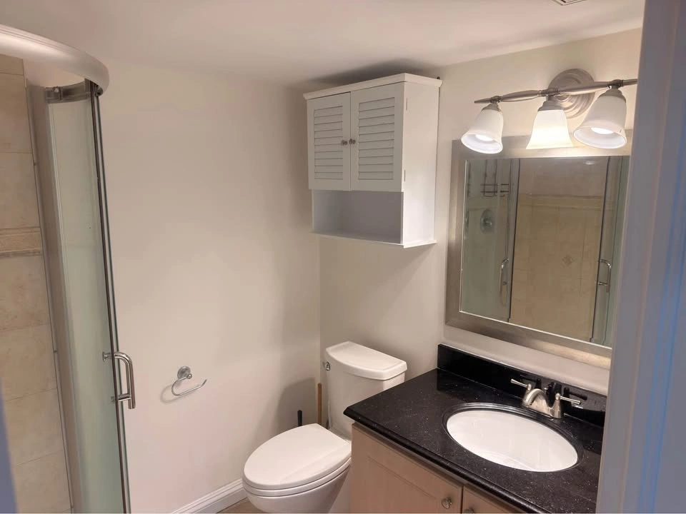 Legal Walkout Basement: 1 Bed, 1 Bath, Storage, 2 Parking - photo 4