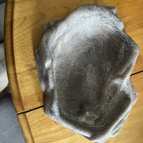 reptile water bowl