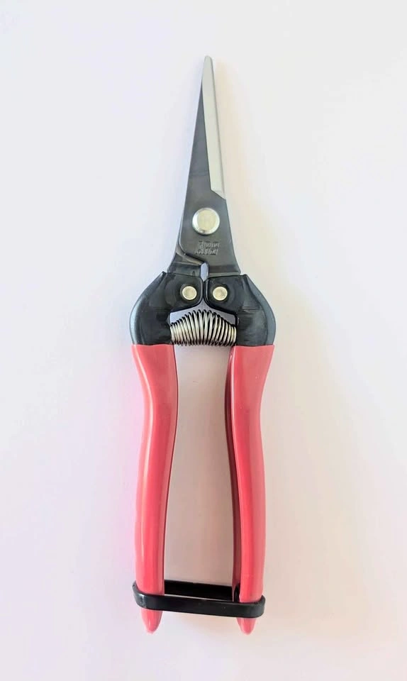 Brand New ARS 300L Fruit Picking Shears