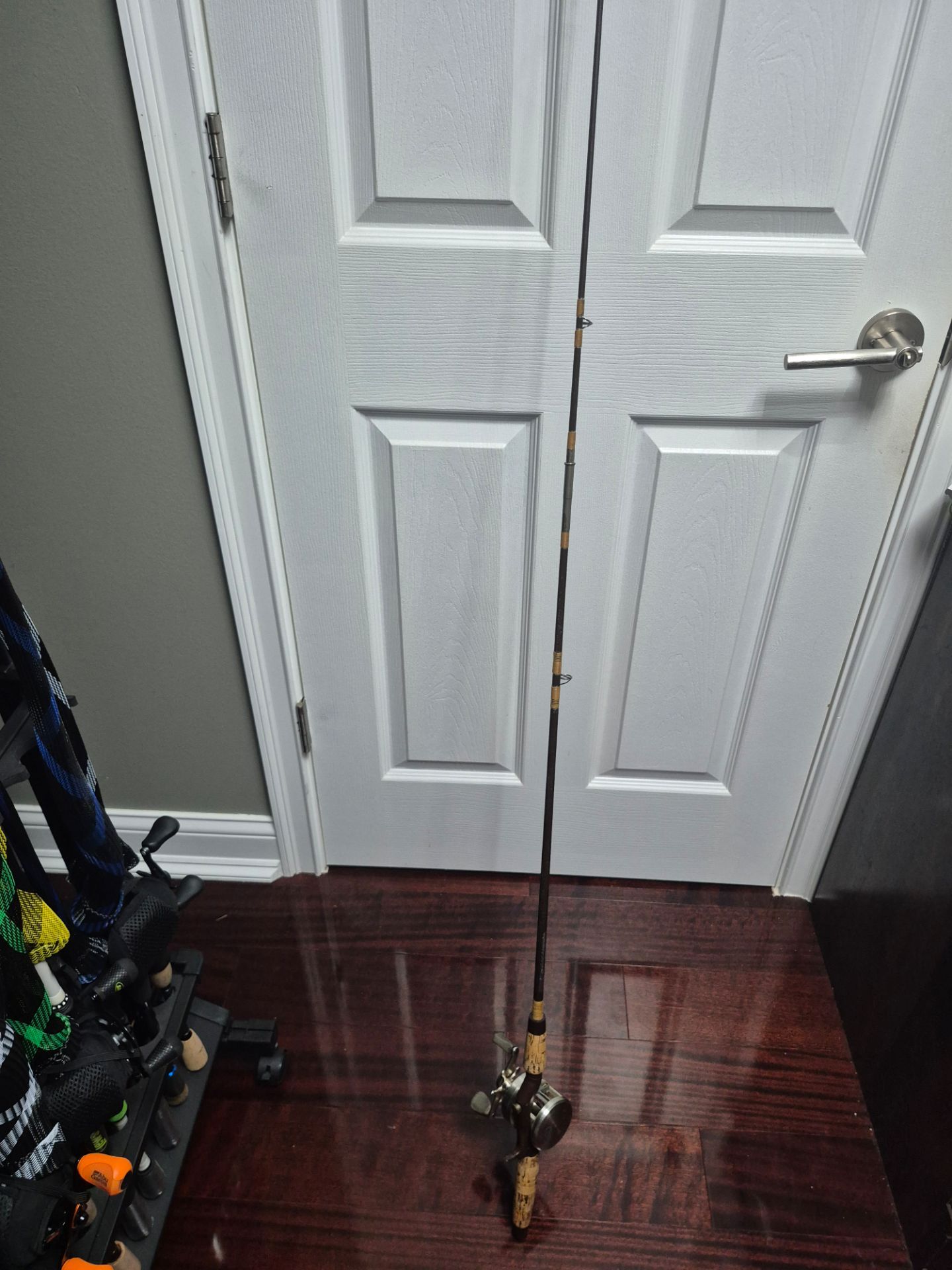 Fishing rod and reel combo