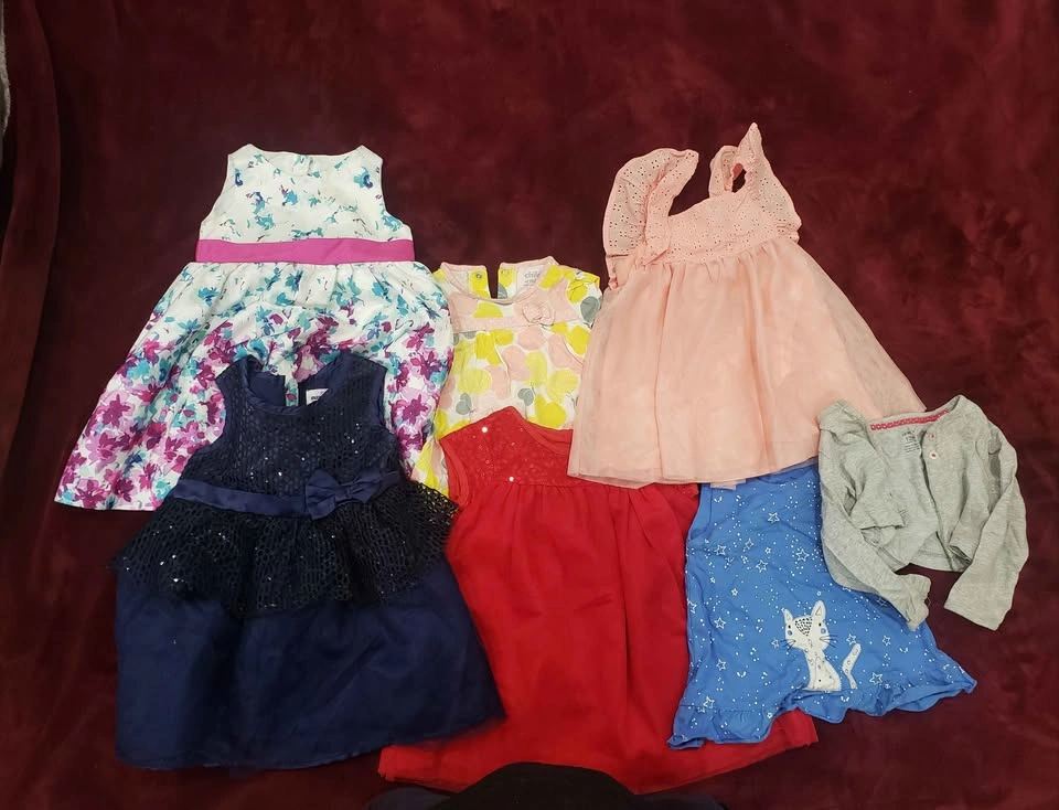 Baby Girl Clothing Lot Sizes 1M-2T - photo 4