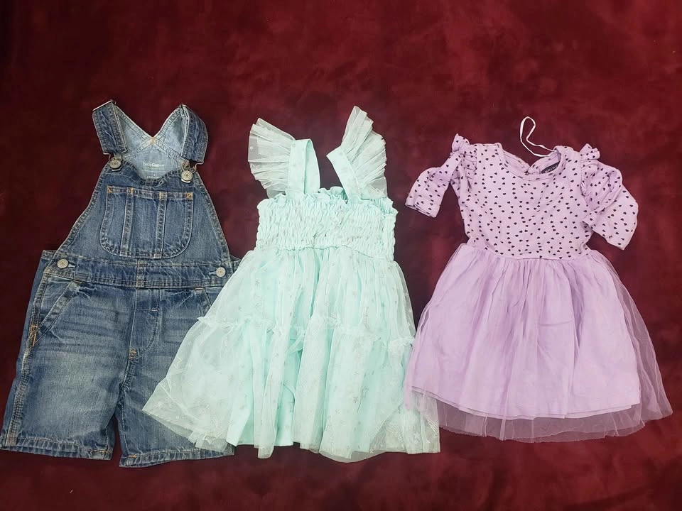 Baby Girl Clothing Lot Sizes 1M-2T - photo 5