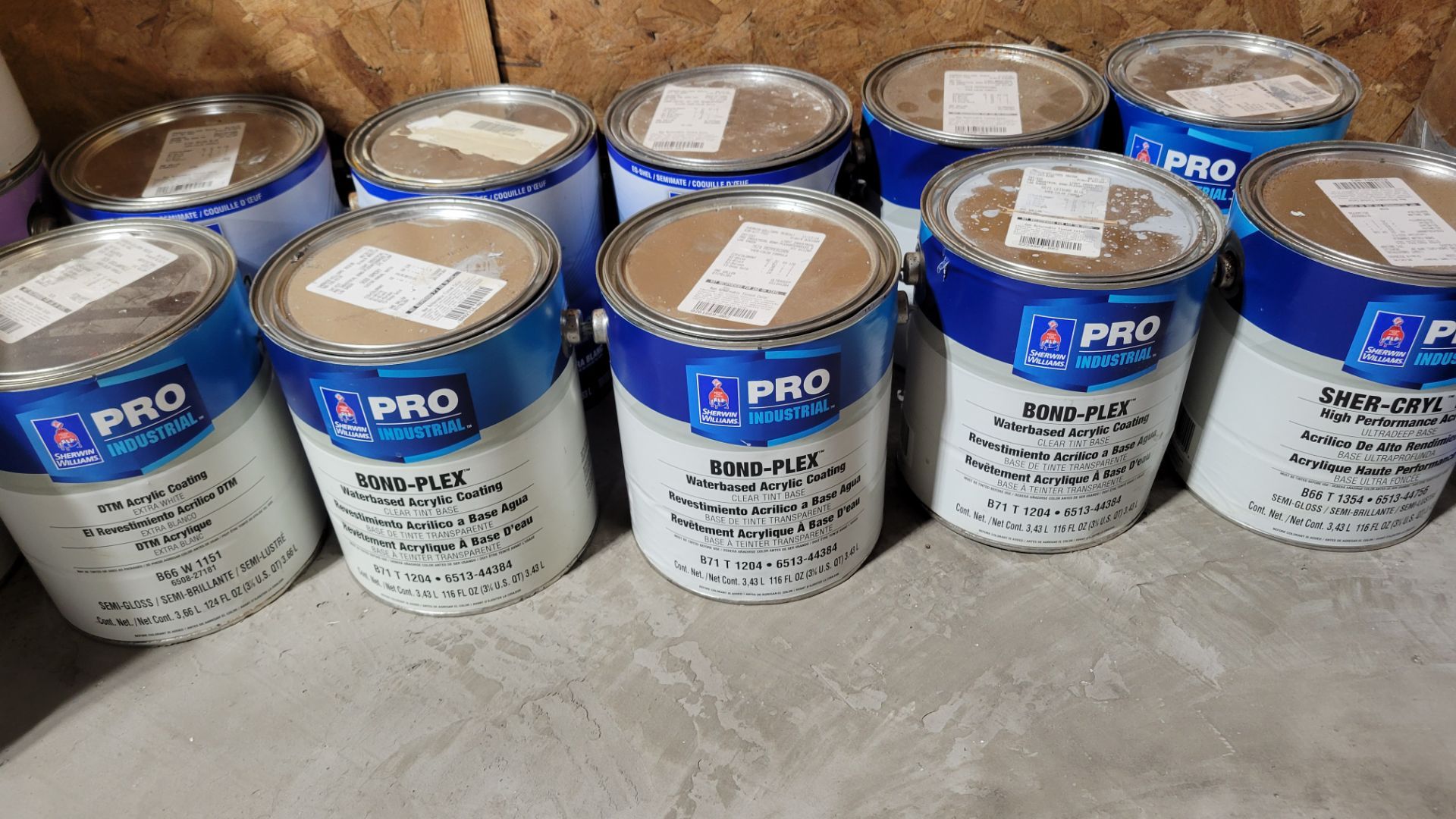 Paint 1 gallons $5each
