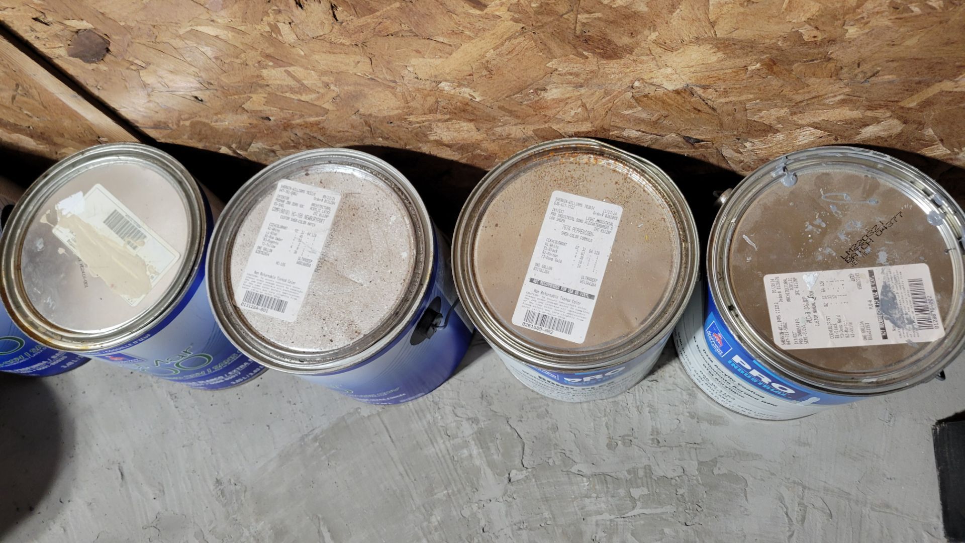 Paint 1 gallons $5each - photo 2