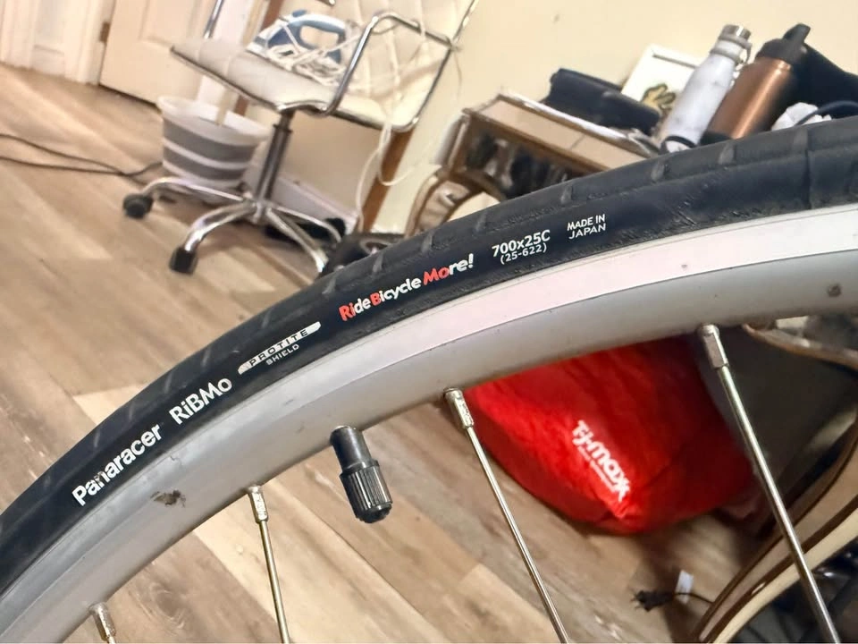 Belt Drive Bicycle with SRAM Automatix Hub - photo 3