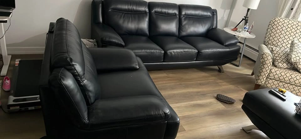 Couch and chair - photo 4