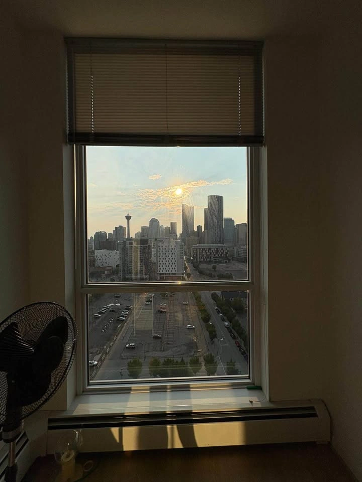 1 Bed 1 Bath - Apartment - photo 2