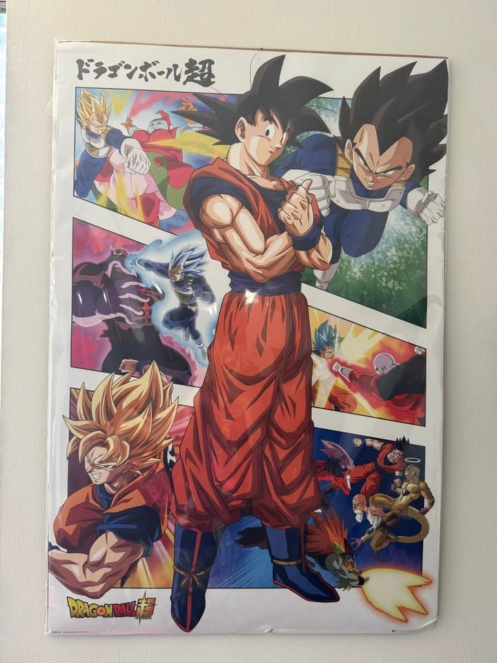 Back to the Future and Dragon Ball Posters - photo 3