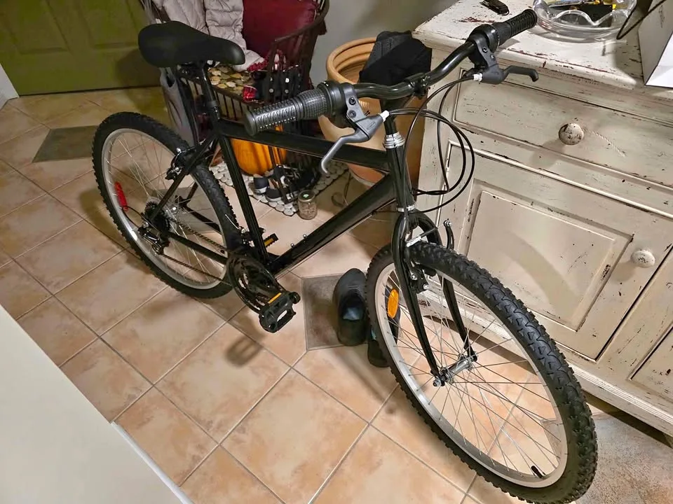 18 Speed Bicycle thumbnail