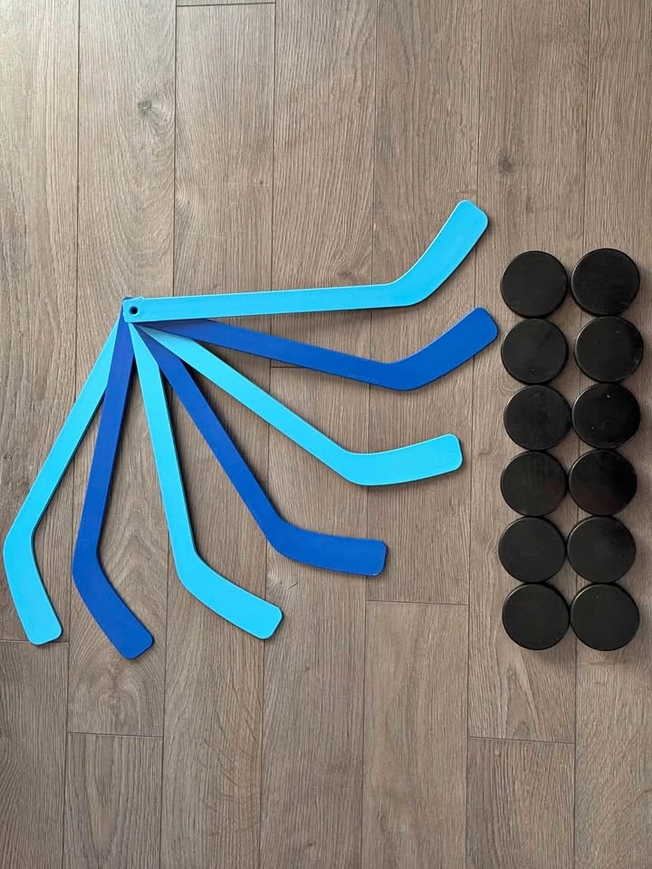 Mini Sticks and Pucks Set