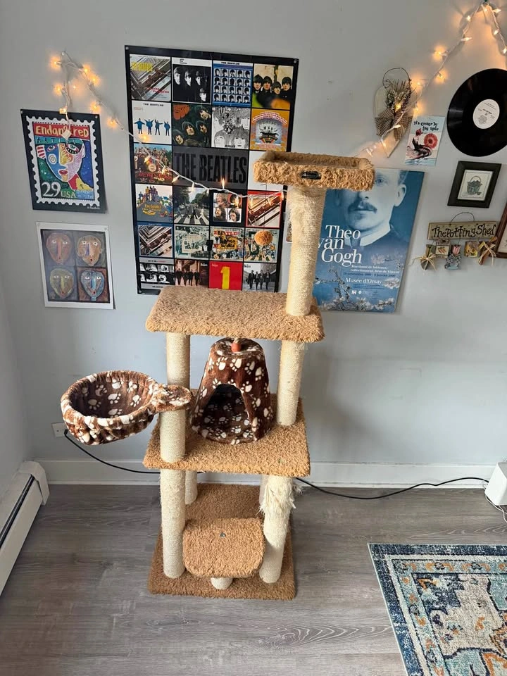 Huge tall cat tree